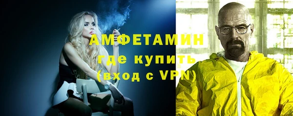 мдпв Вяземский