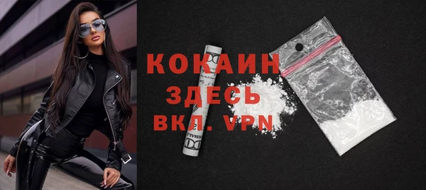 мдпв Вяземский