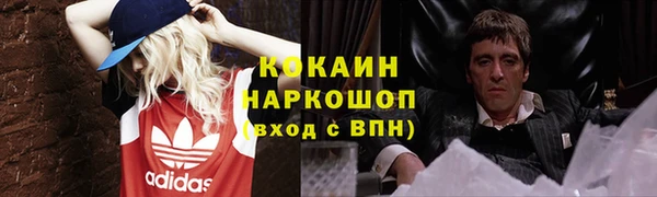 мдпв Вяземский