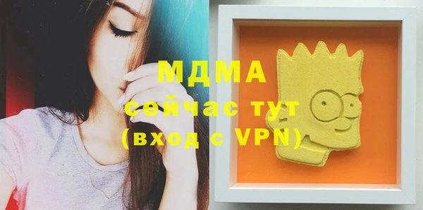 мдпв Вяземский