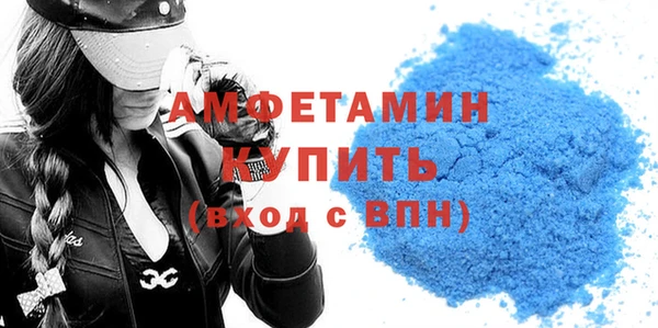 мдпв Вяземский