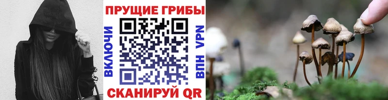 Псилоцибиновые грибы прущие грибы  купить наркотики цена  Вытегра 